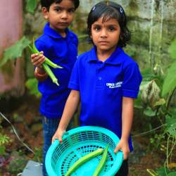 Grace Garden Play School Daycare Kadukutty Kindergartens In Thrissur Justdial