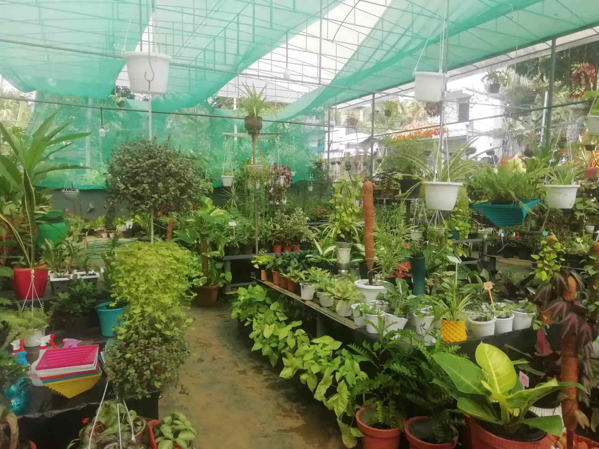 Top Rrr Plant Nurseries in Pune Best Rrr Plant Nurseries near me