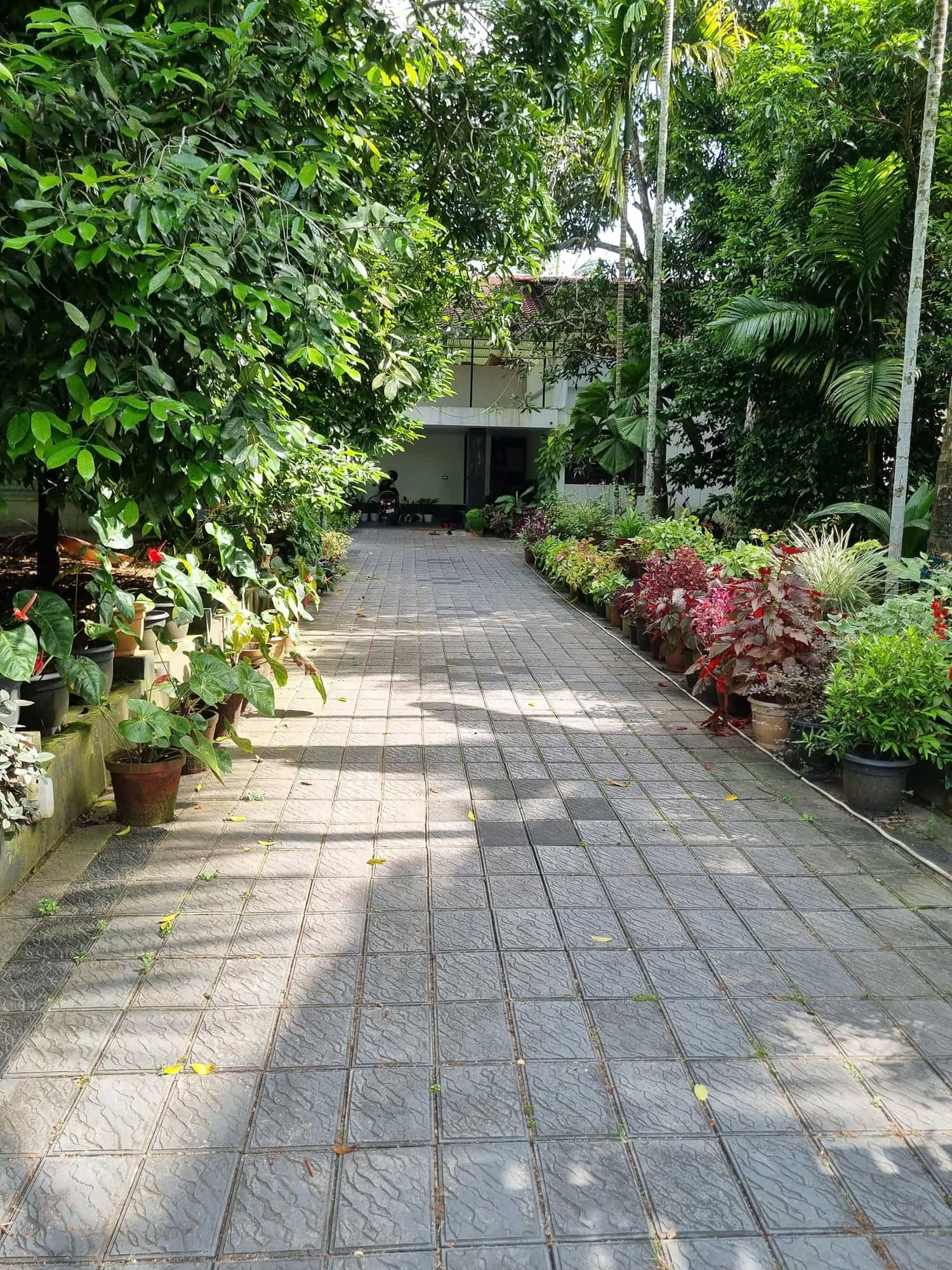 Dr Syam Krishna (Psychiatrist) in Kodungallur,Thrissur Best