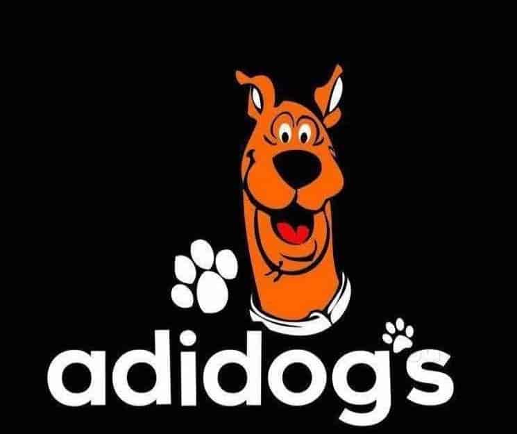 Adidog's The Complete Pet Shop, Kunnamkulam Pet Shops in Thrissur