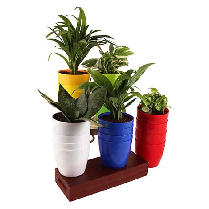 Top Pottery Dealers in Thrissur Best Plant Container Dealers near me