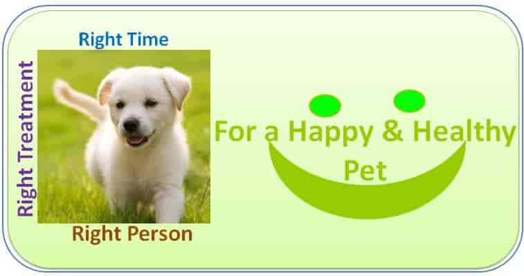 Top 10 Veterinarians In Perumalpuram Tirunelveli Best Veterinary Doctors Book Appointment Online Justdial