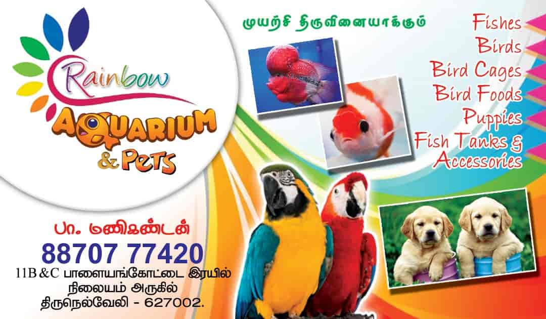 Rainbow Aquarium And Pets Photos, Palayamkottai, Tirunelveli Pictures & Images Gallery Justdial