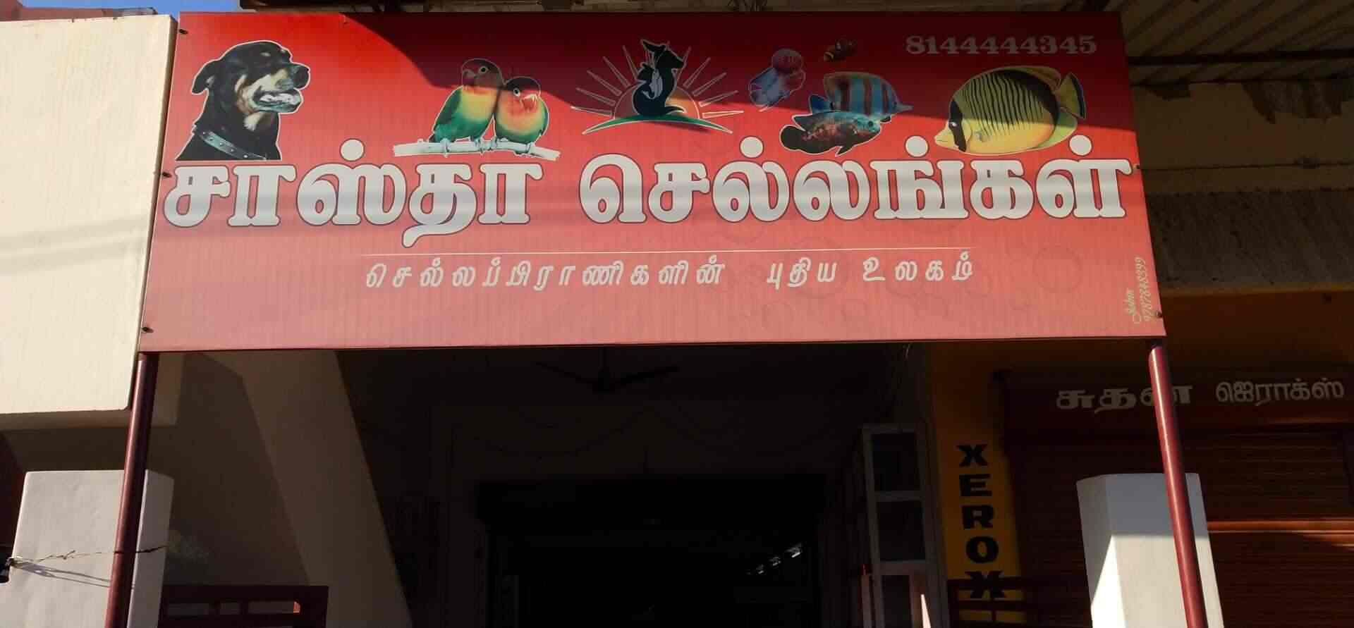 Sastha Challangal Pet Shop World in Perumalpuram,Tirunelveli Best Pet