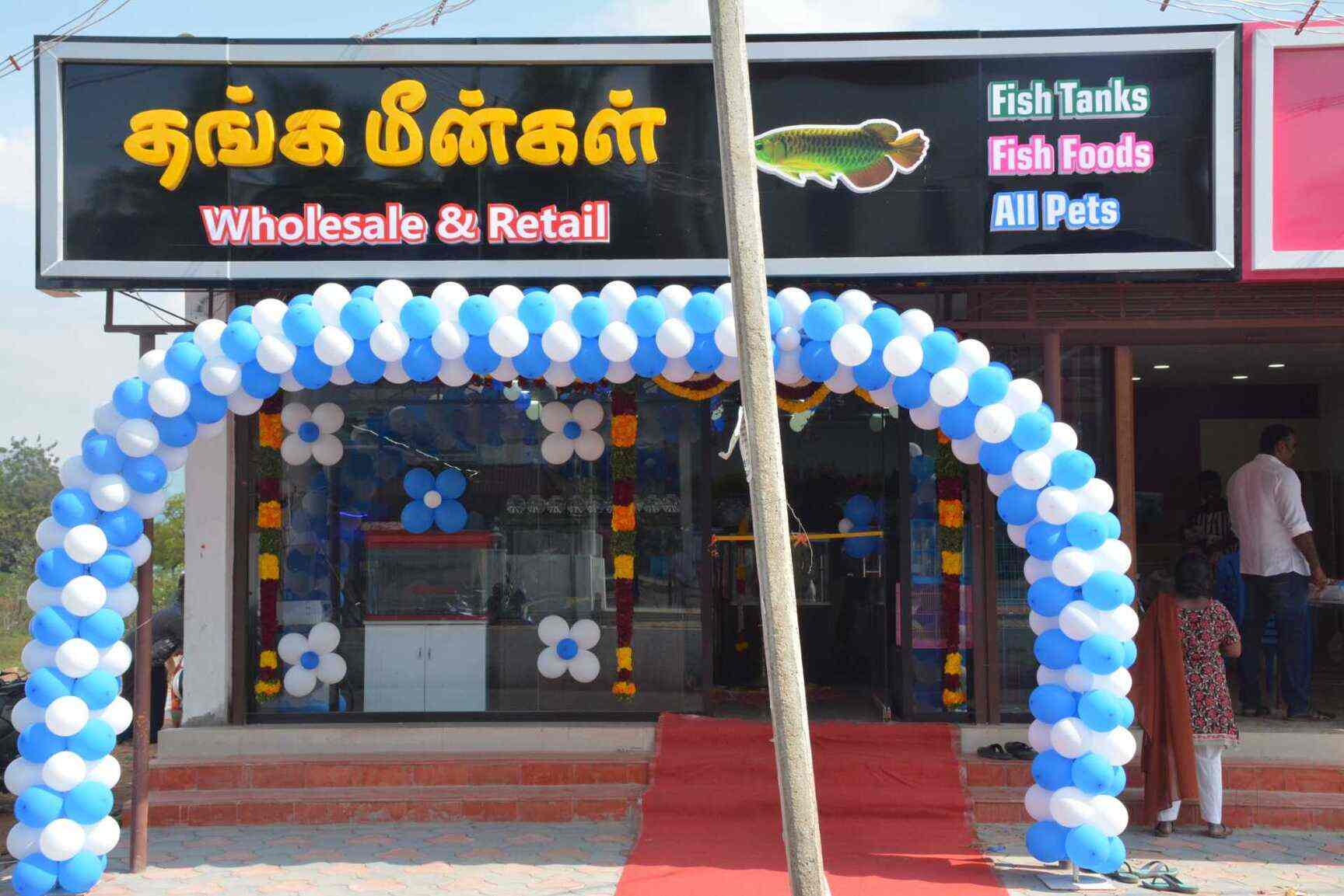 Top Pet Shops in Tirunelveli Best Pet Store near me Justdial