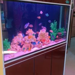 4 feet imported fish tank 2025