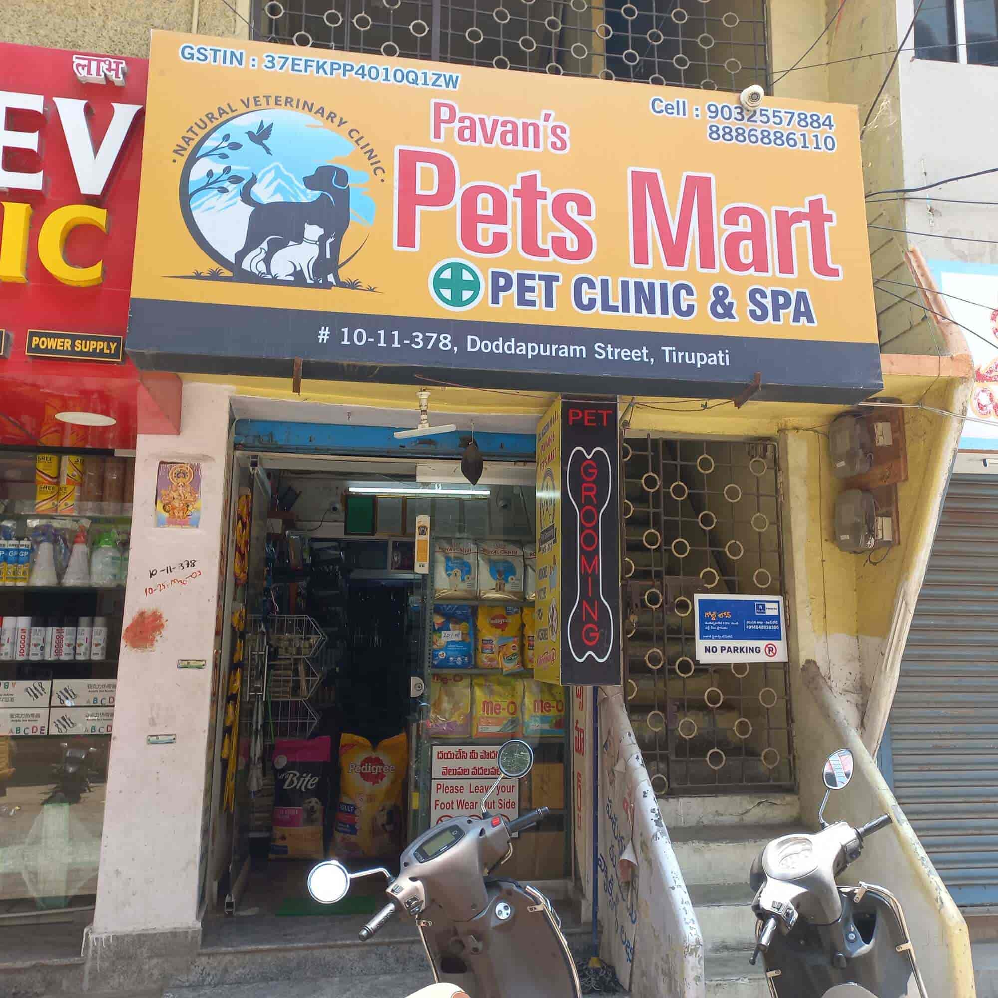 Tirupati Buy Pet Dogs Near Me Pet Grooming Pet Food Nearest Dog - Main Image