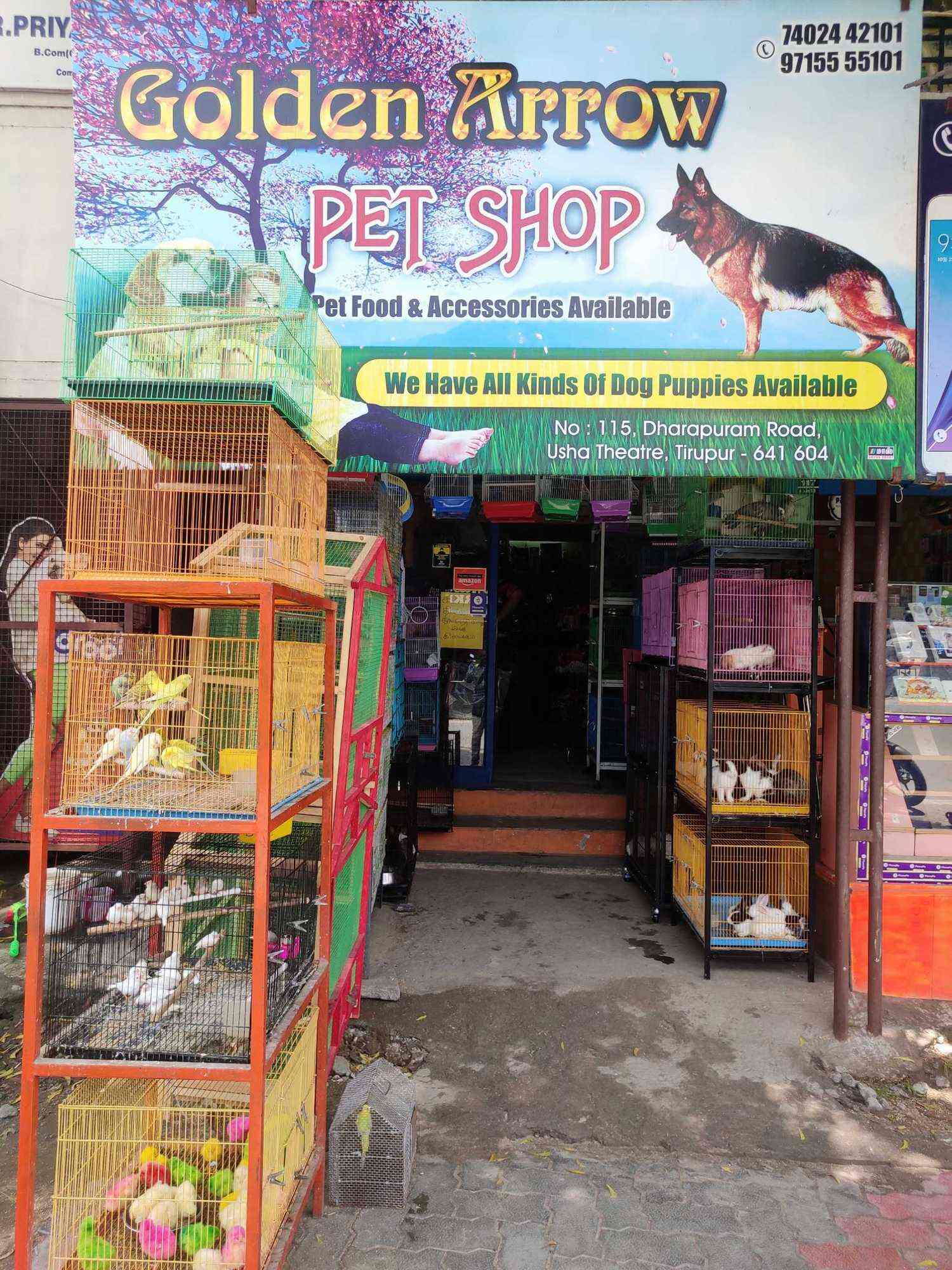 Golden Arrow Pet Shop, Dharapuram Road Tirupur Pet Shops in Tirupur