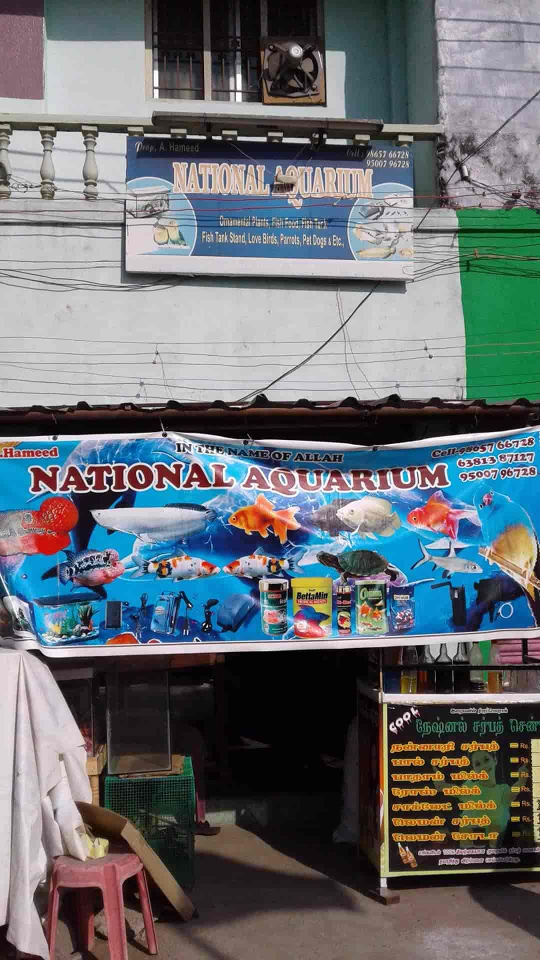 Top Fish Tank Dealers In Arni Kunnathur Best Aquarium Suppliers