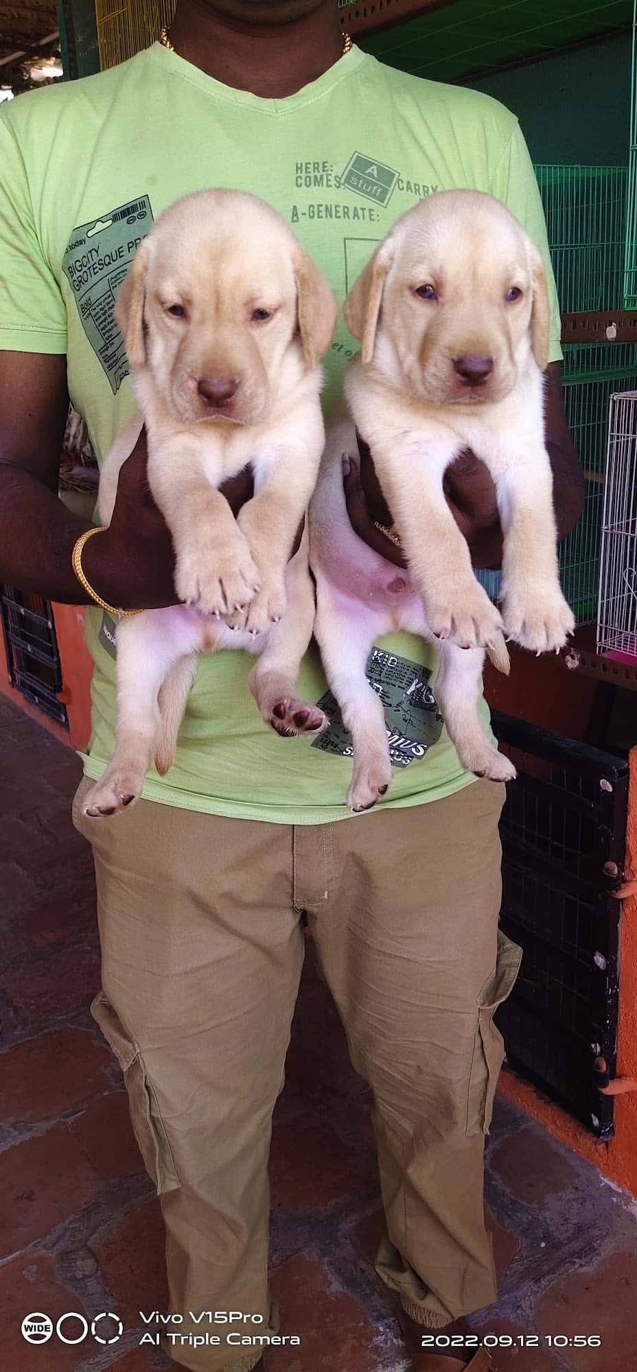 Top Pet Shops For Dog in Trichy Best Pet Supplies Store near me Justdial