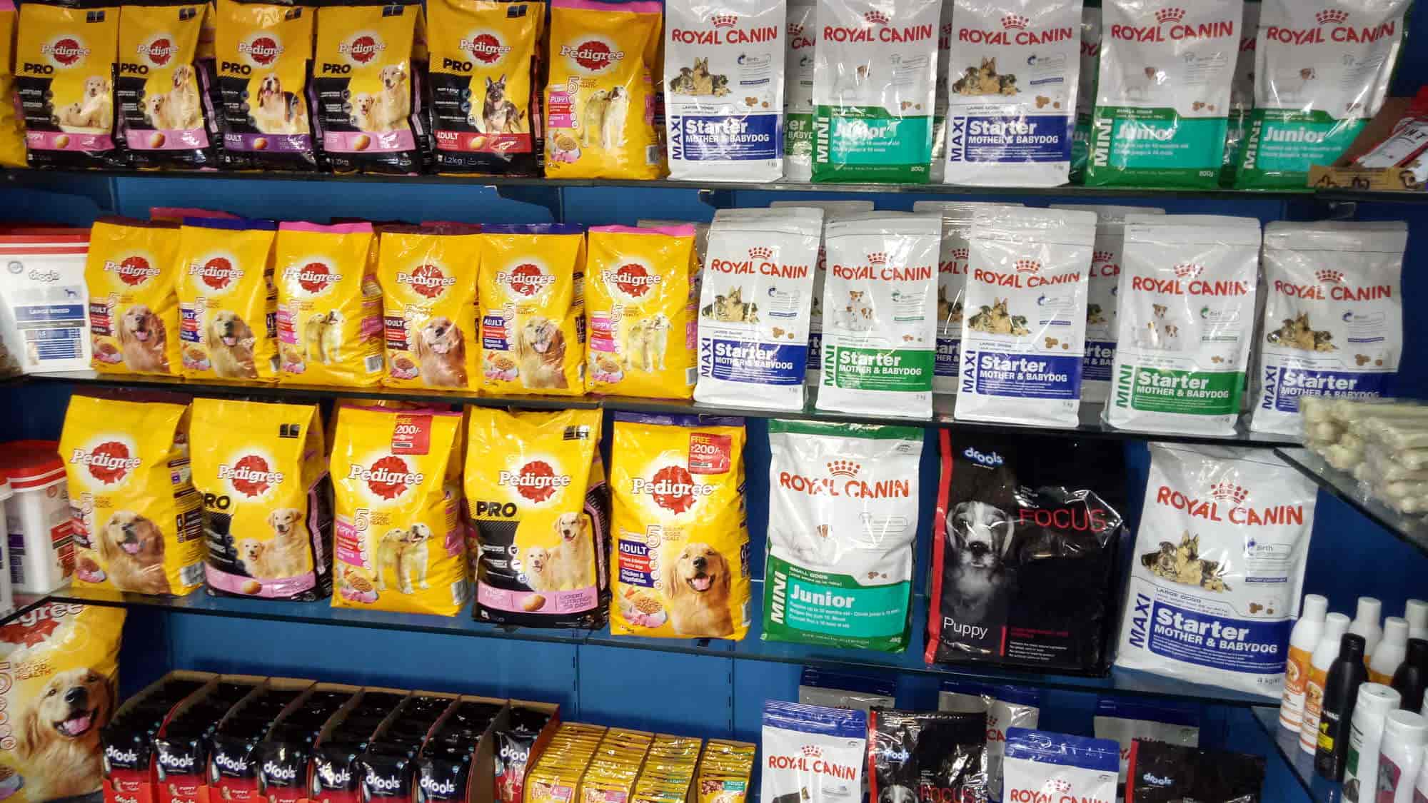 Top Pet Shops For Dog in Trichy Best Pet Supplies Store near me