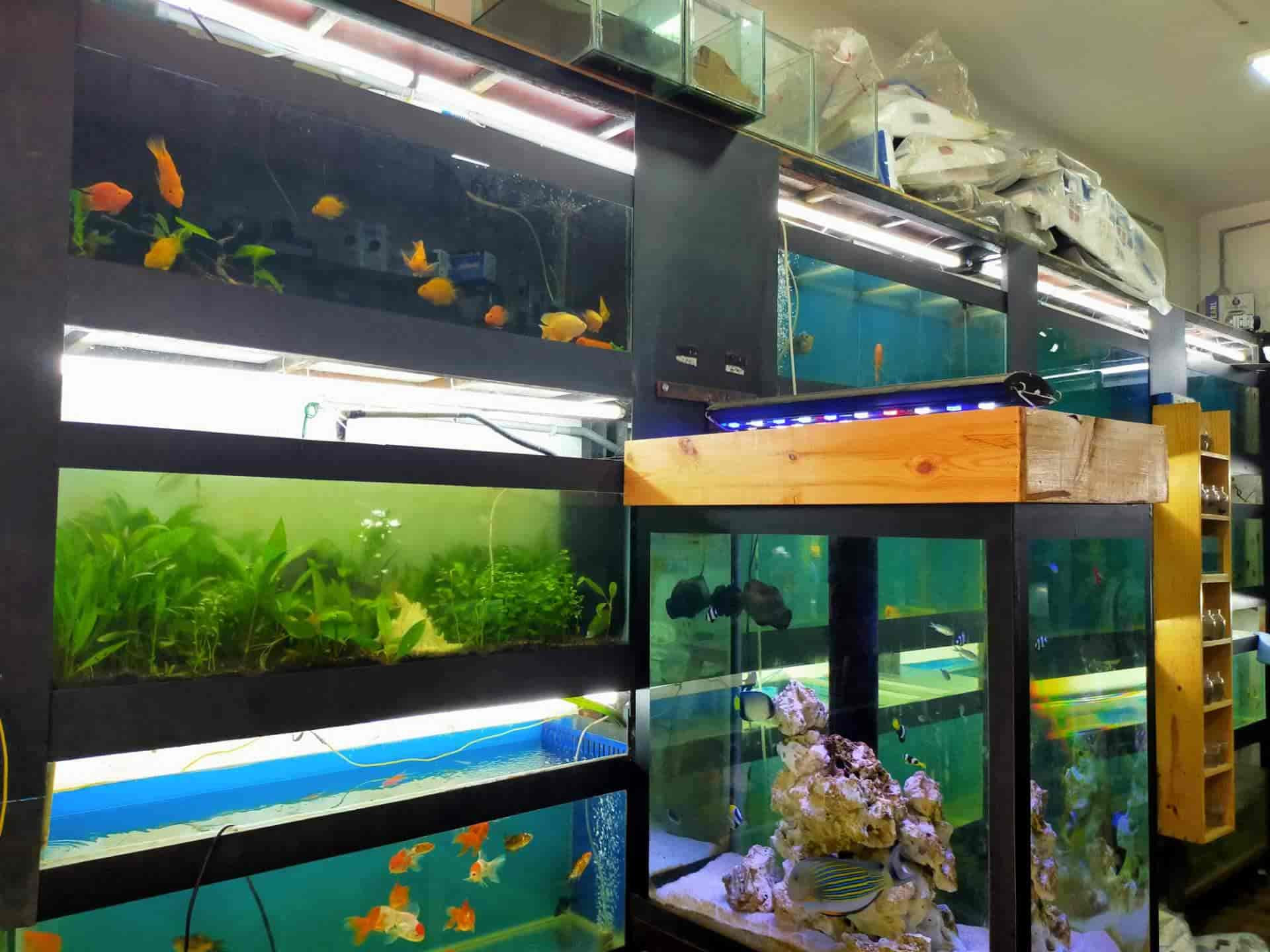 Top 50 Pet Food Dealers in Trichy Best Pet Feed Stores Justdial