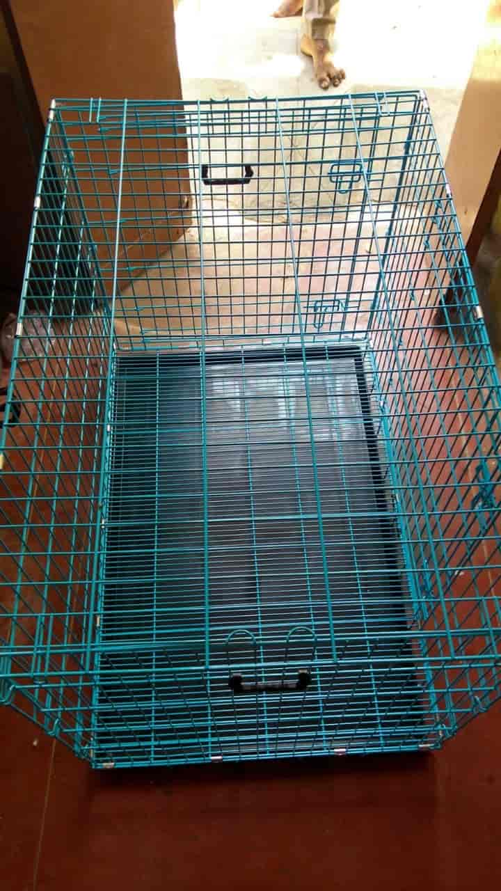 Top Pet Shops For Dog in Trichy Best Pet Supplies Store near me Justdial