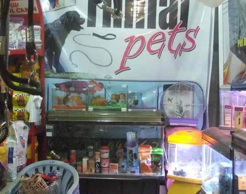 Top 20 Pet Shops For Birds in Trichy Best Bird Shops Justdial