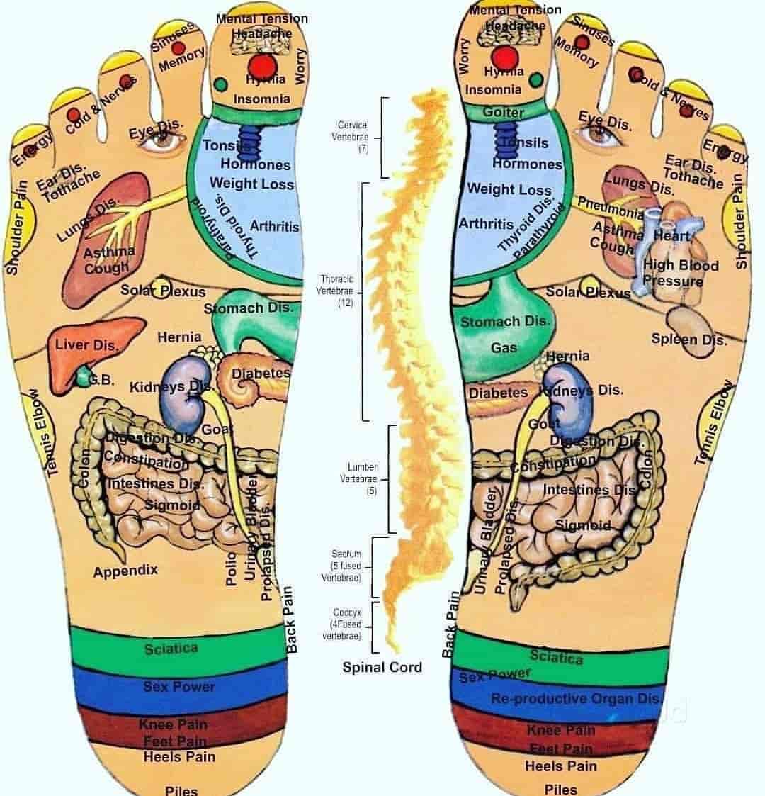 Top Acupressure Training Centres in Kumbakonam Best Accupressure