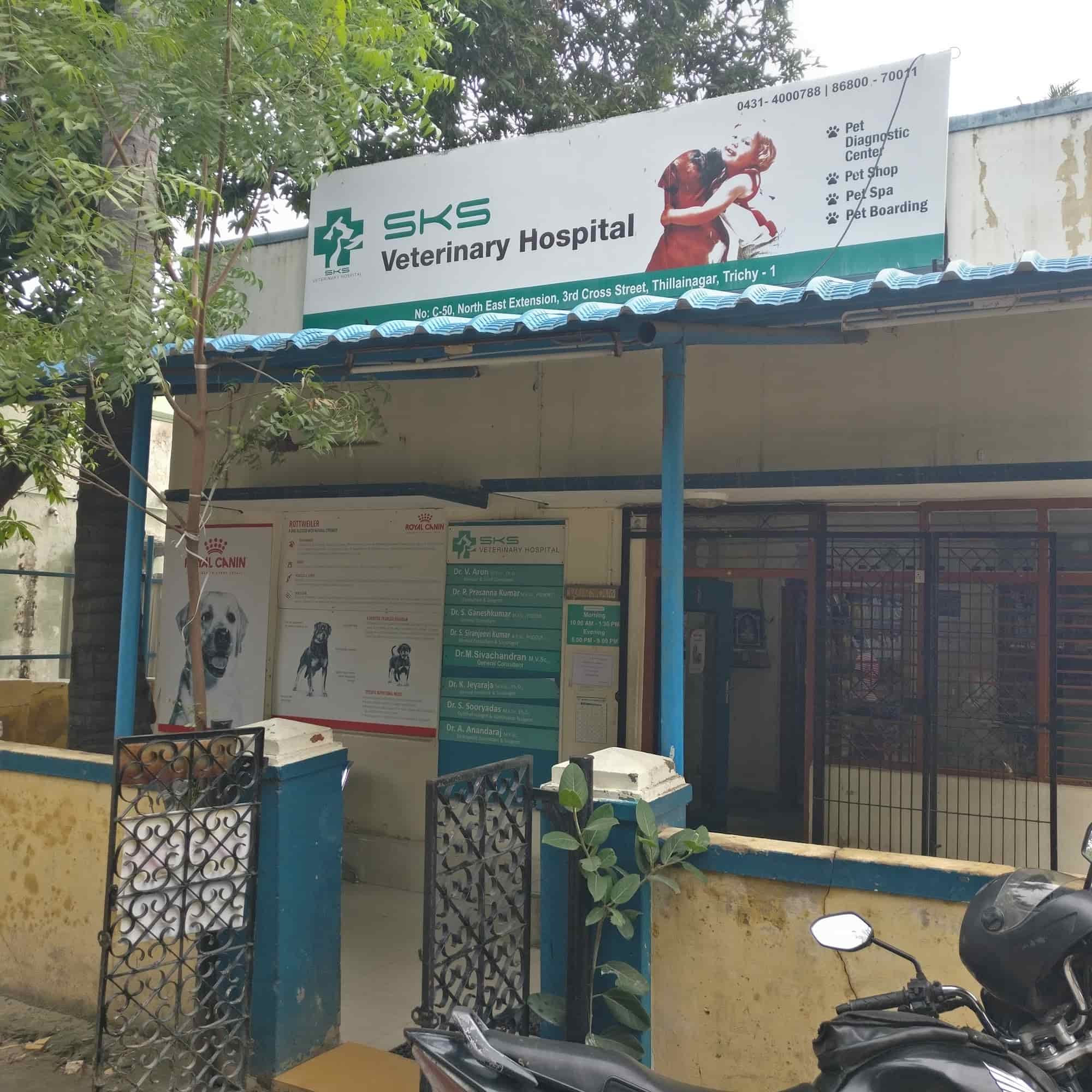 Top Veterinary Ultrasound Services in Trichy Best Animal Ultrasound