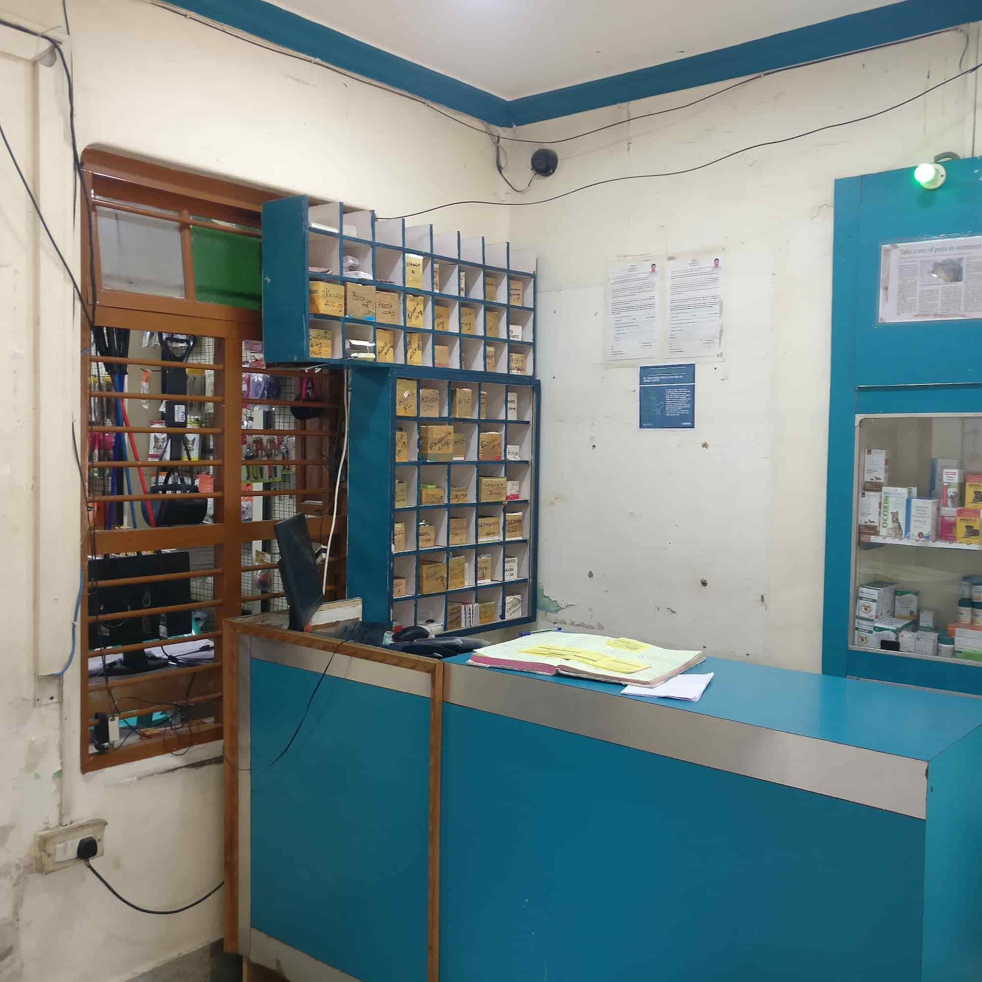 Top Veterinary Ultrasound Services in Trichy Best Animal Ultrasound Services near me Justdial