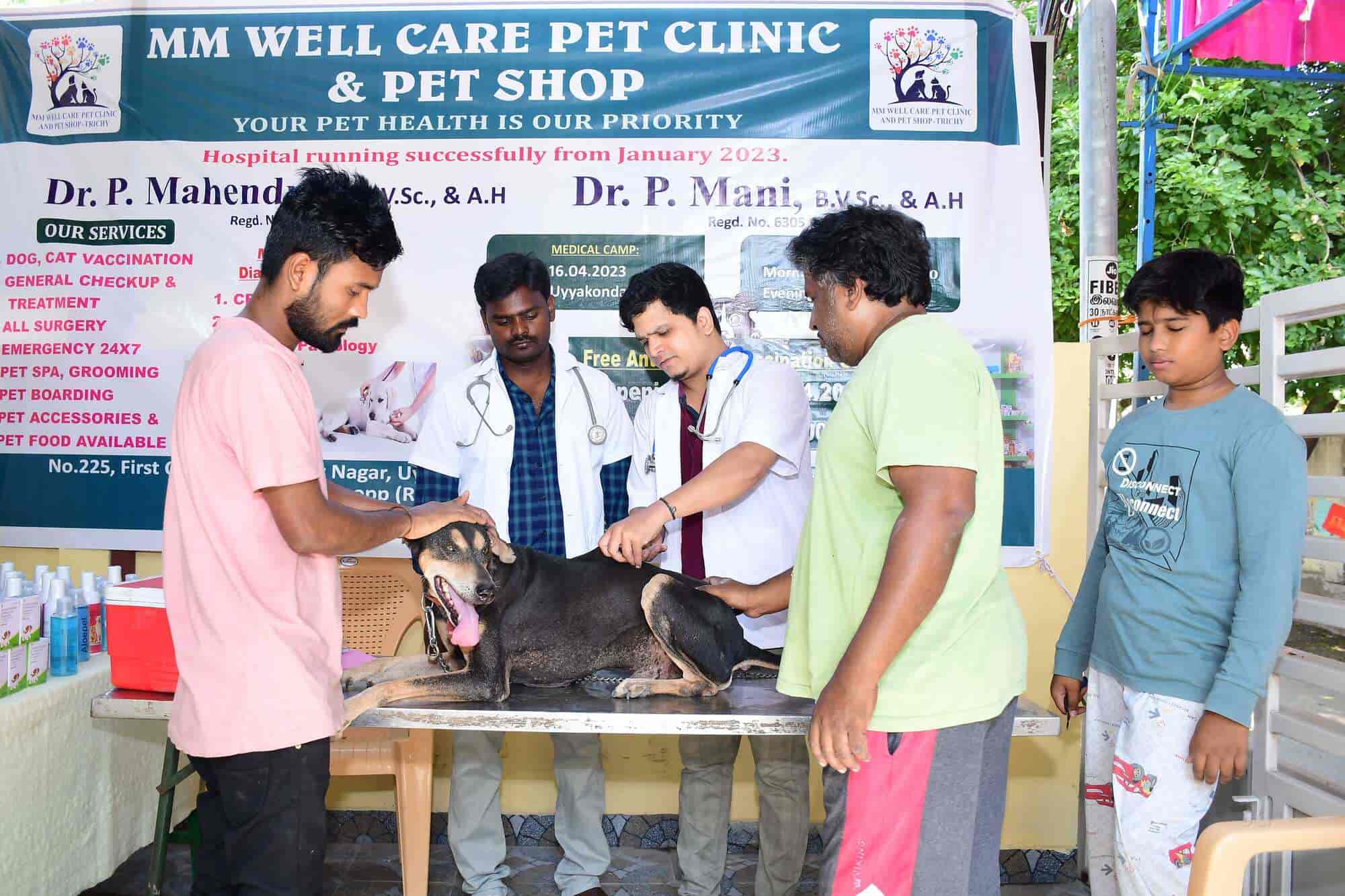 Top Pet Accessory Dealers in Trichy Best Pet Accessory Shops near me