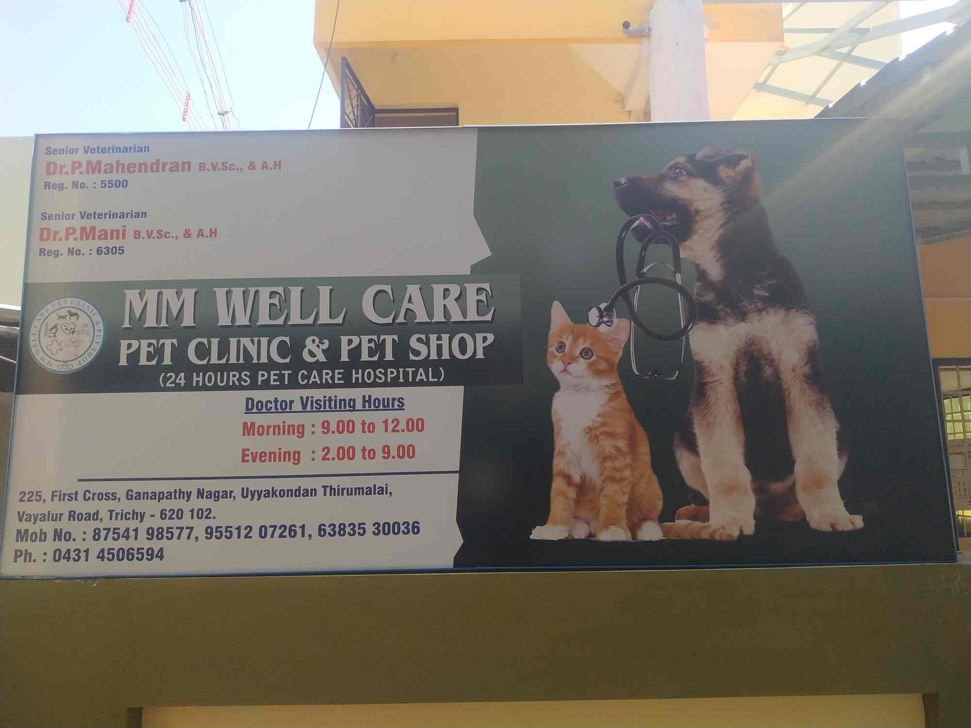 Top Pet Accessory Dealers in Trichy Best Pet Accessory Shops near me