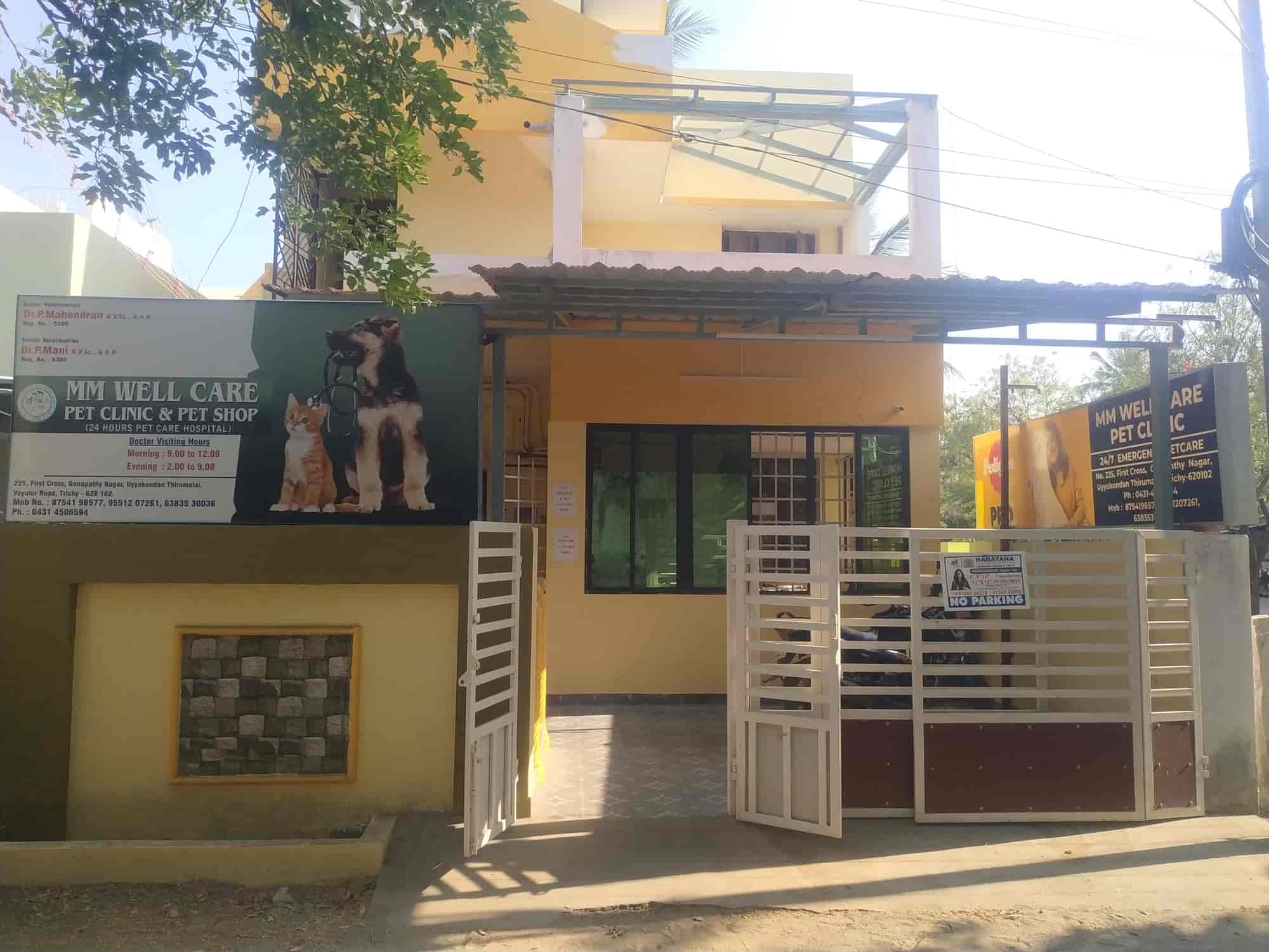 Top Pet Accessory Dealers in Trichy Best Pet Accessory Shops near me