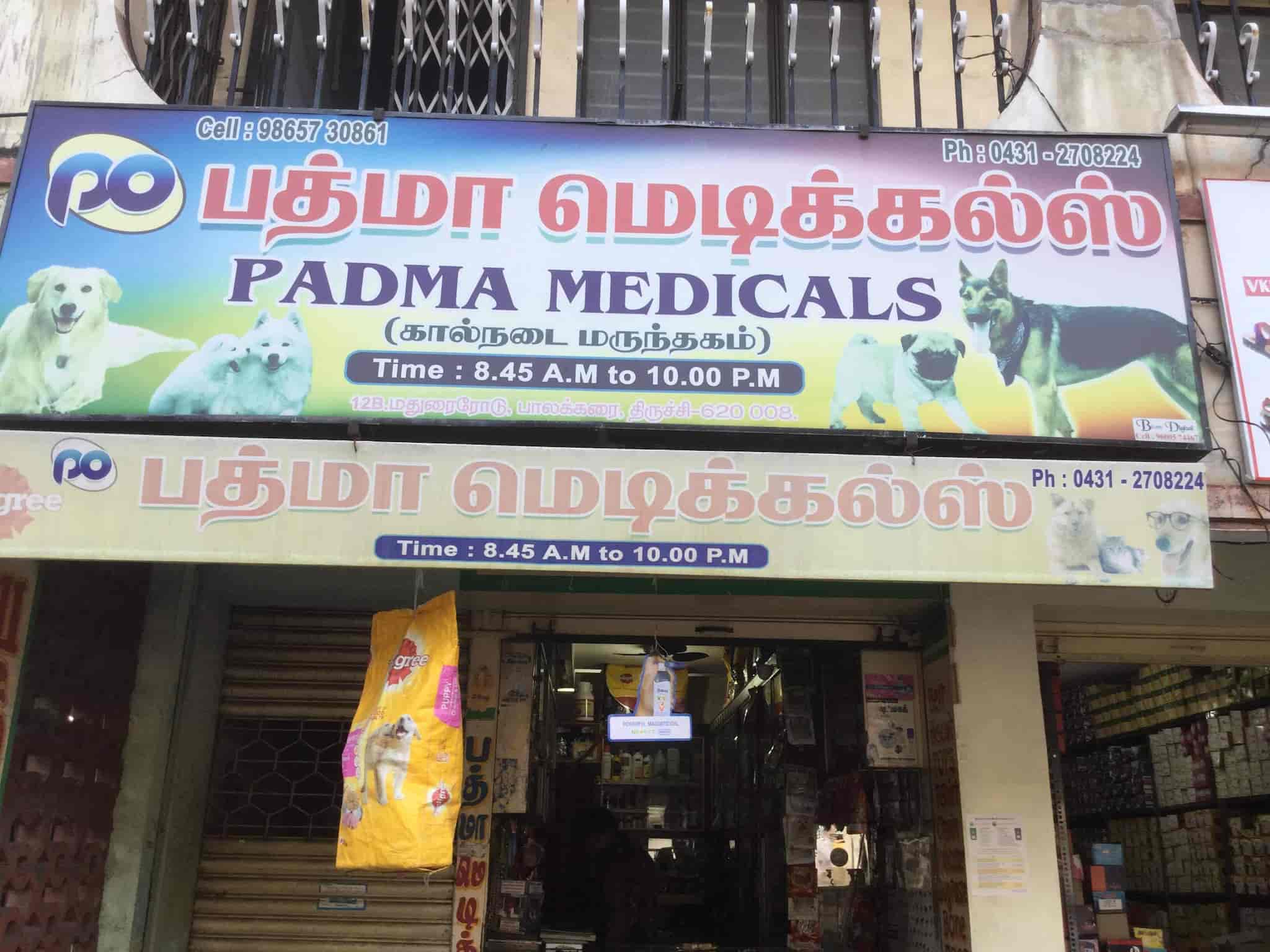 Top 20 Pet Shops For Birds in Trichy Best Bird Shops Justdial