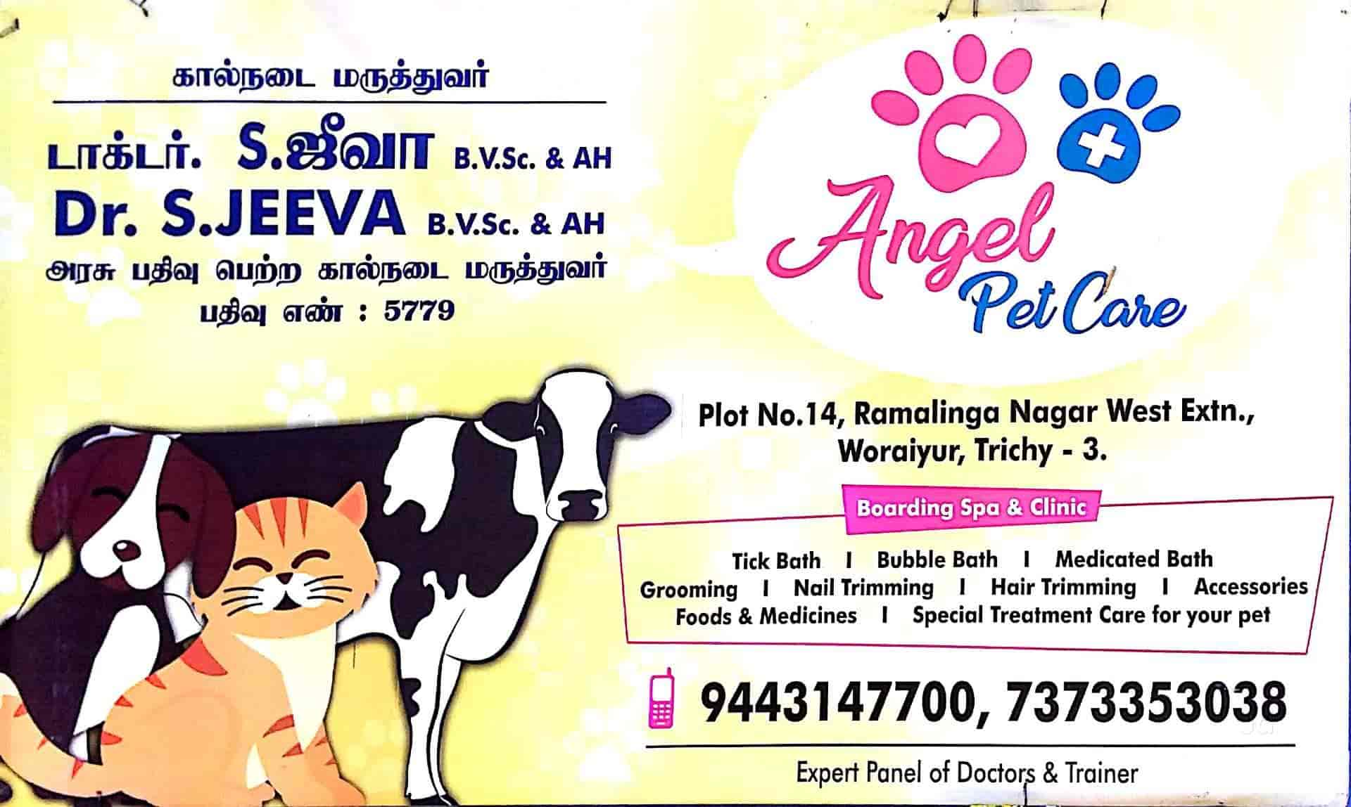 Top Pet Shops For Dog in Trichy Best Pet Supplies Store near me Justdial