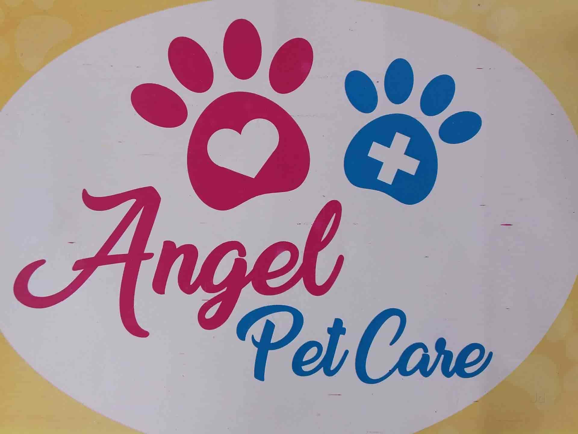 Top Pet Shops For Dog in Trichy Best Pet Supplies Store near me Justdial