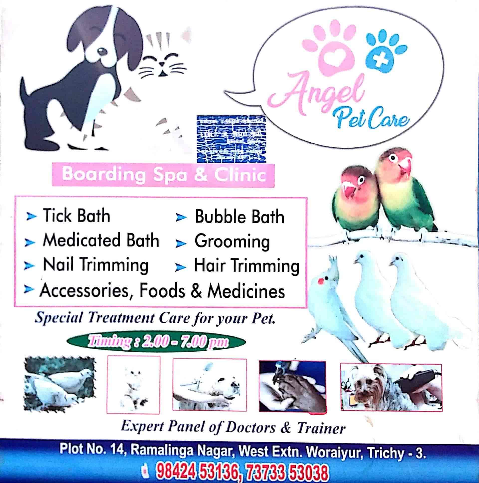 Top Pet Shops For Dog in Trichy Best Pet Supplies Store near me Justdial