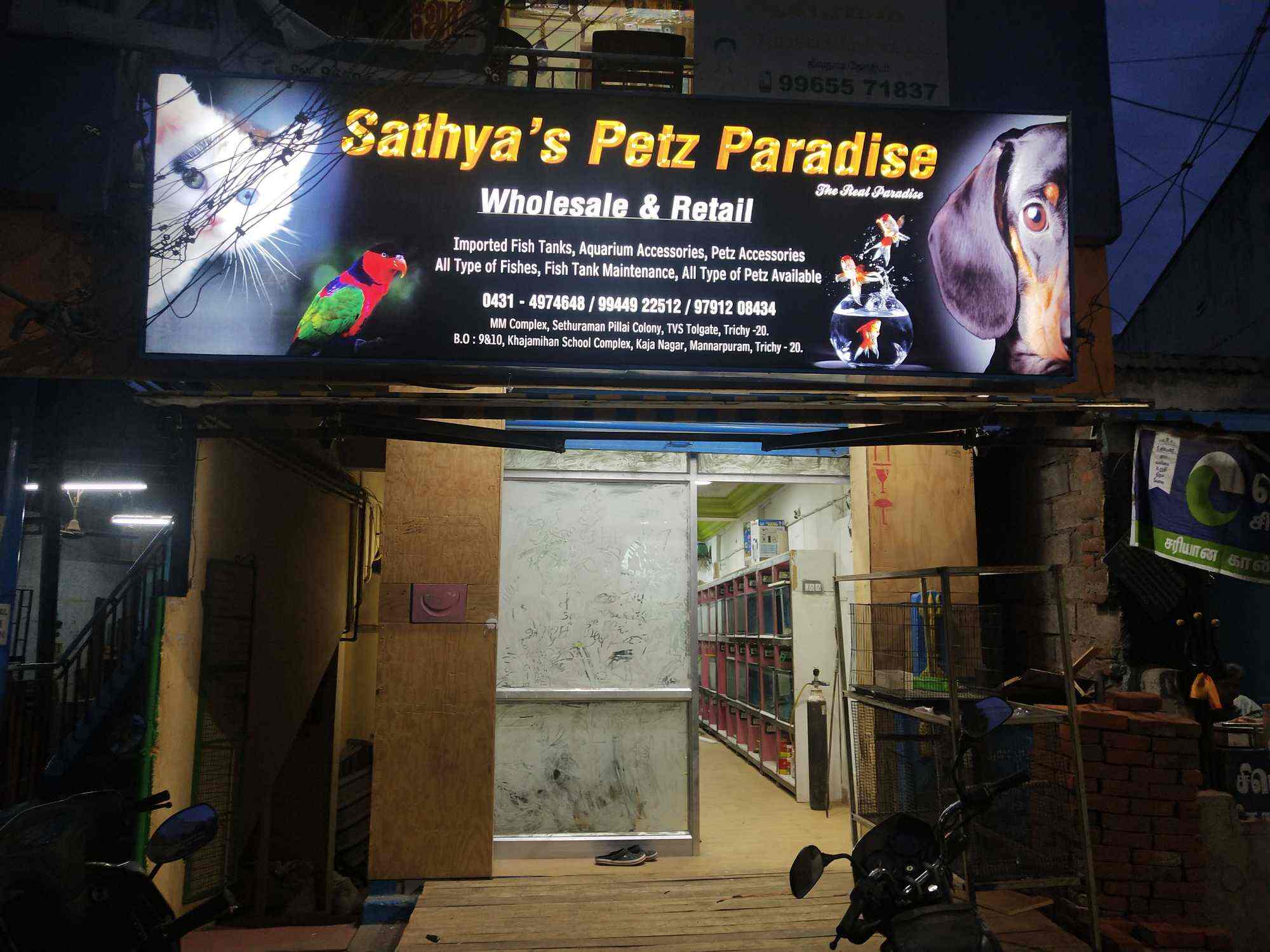 Sathya's Petz Paradise, Jamal Mohamed College Pet Shops in Trichy