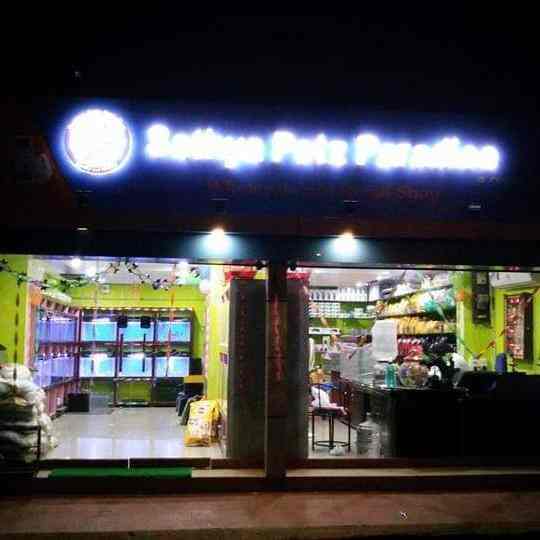 Top 50 Pet Food Dealers in Trichy Best Pet Feed Stores Justdial