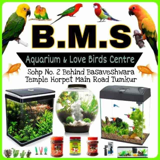 B and m fish tank sale