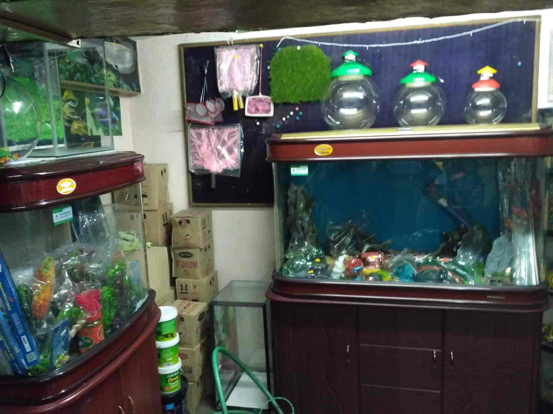 Udaipur Aquarium Gallery