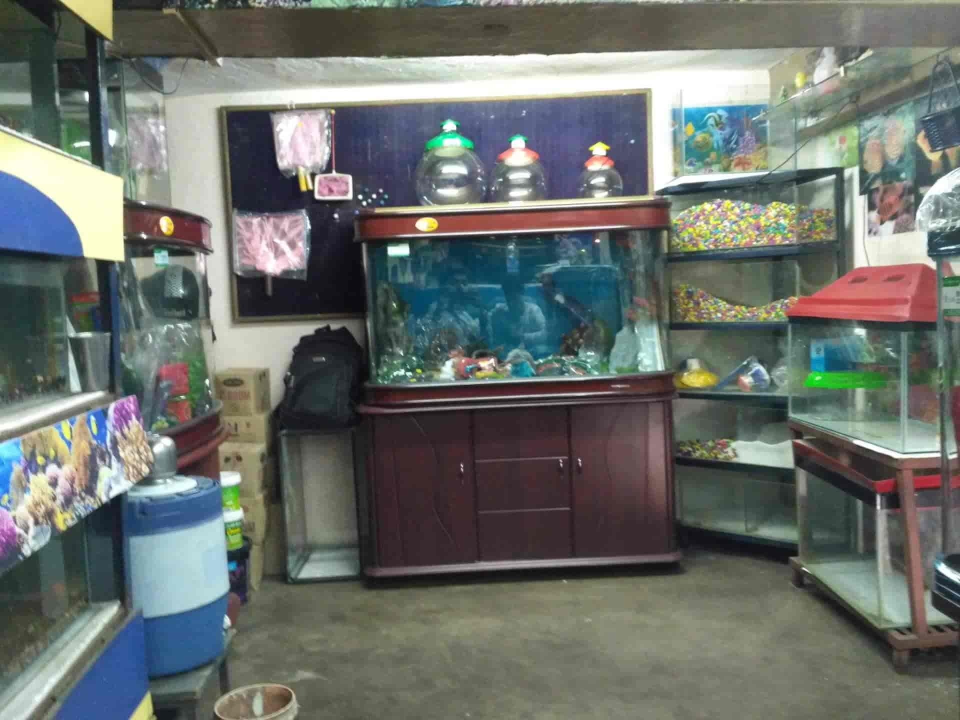 Udaipur Aquarium Gallery