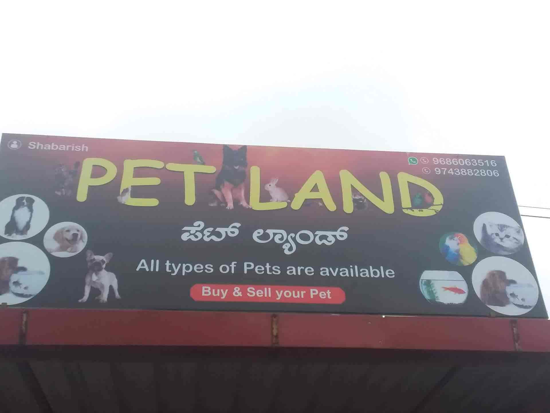 Top Pet Shops For Rabbit in Udupi Best Pet Stores For Rabbit near me