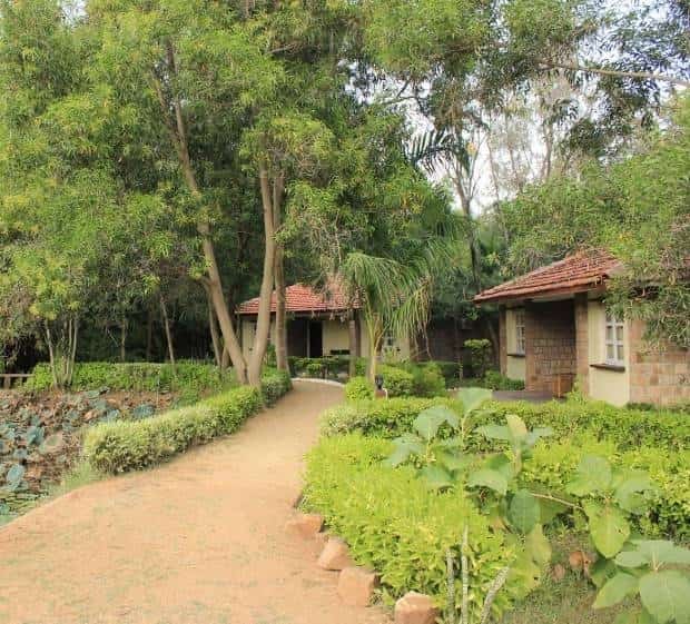 Book Tiger Trails Resort in Bandhavgarh National Park,Bandhavgarh - Best  Resorts near me in Bandhavgarh - Justdial