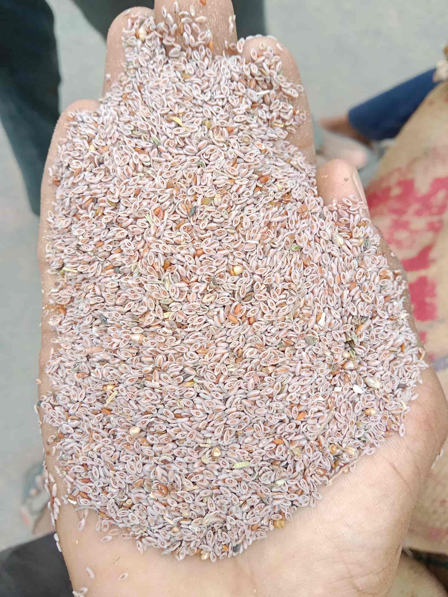 Agricultural Produce Market Committee in Unjha,Mehsana Best