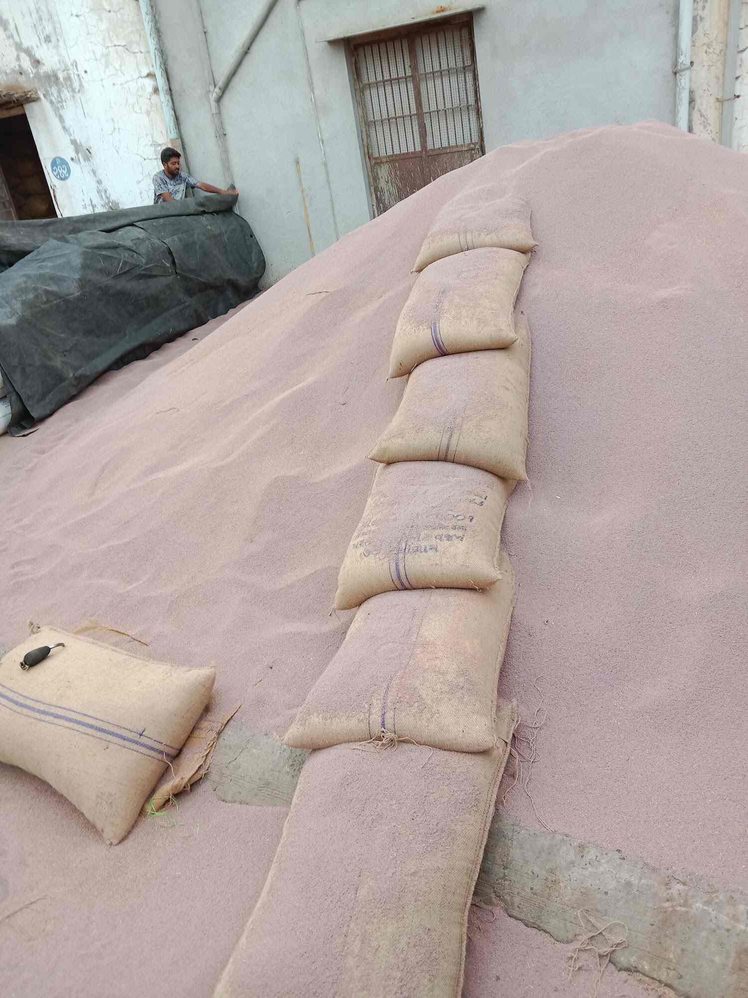 Agricultural Produce Market Committee in Unjha,Mehsana Best