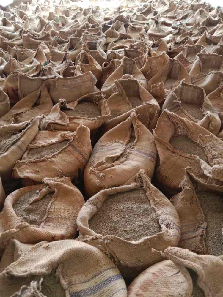 Agricultural Produce Market Committee in Unjha,Mehsana Best