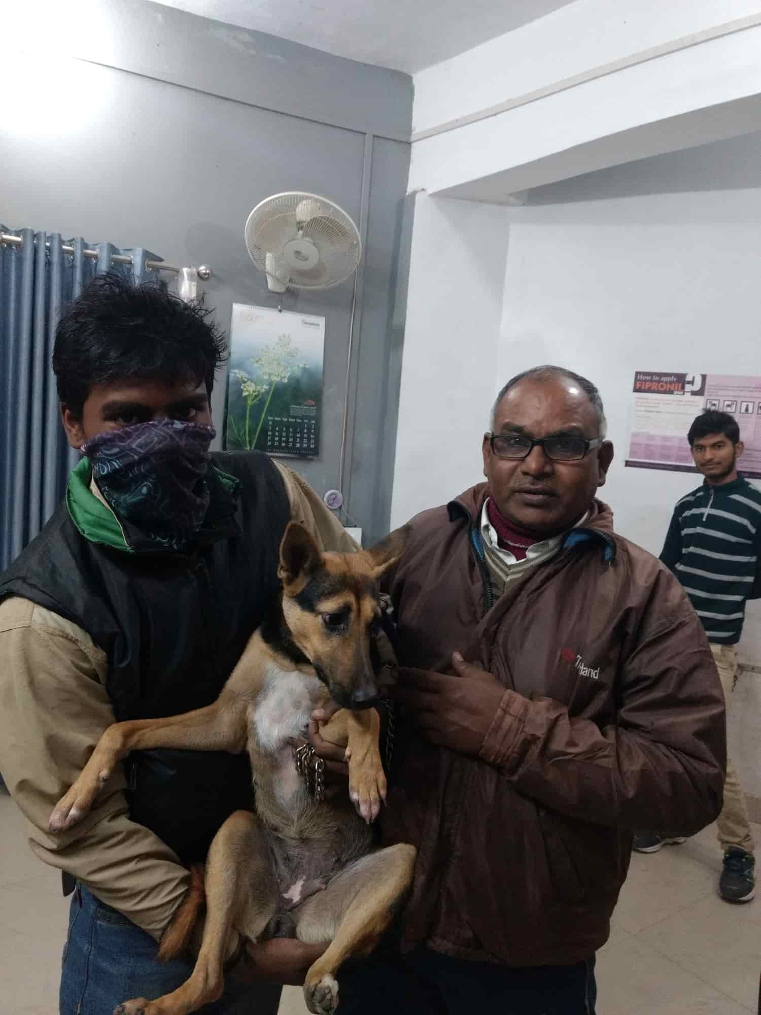 Ganesha Pet Care Centre in Adarsh Nagar,Unnao Best Pet Shops in Unnao