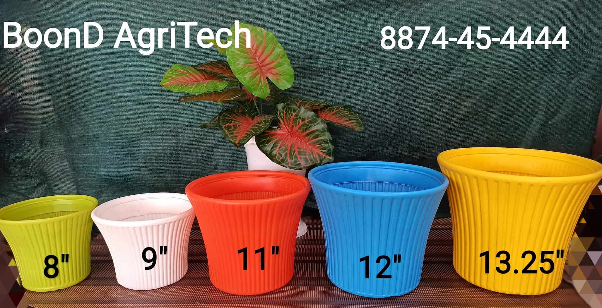 Top Tree Nurseries in Lal Bangla Best Nursery Tree Creepers Kanpur