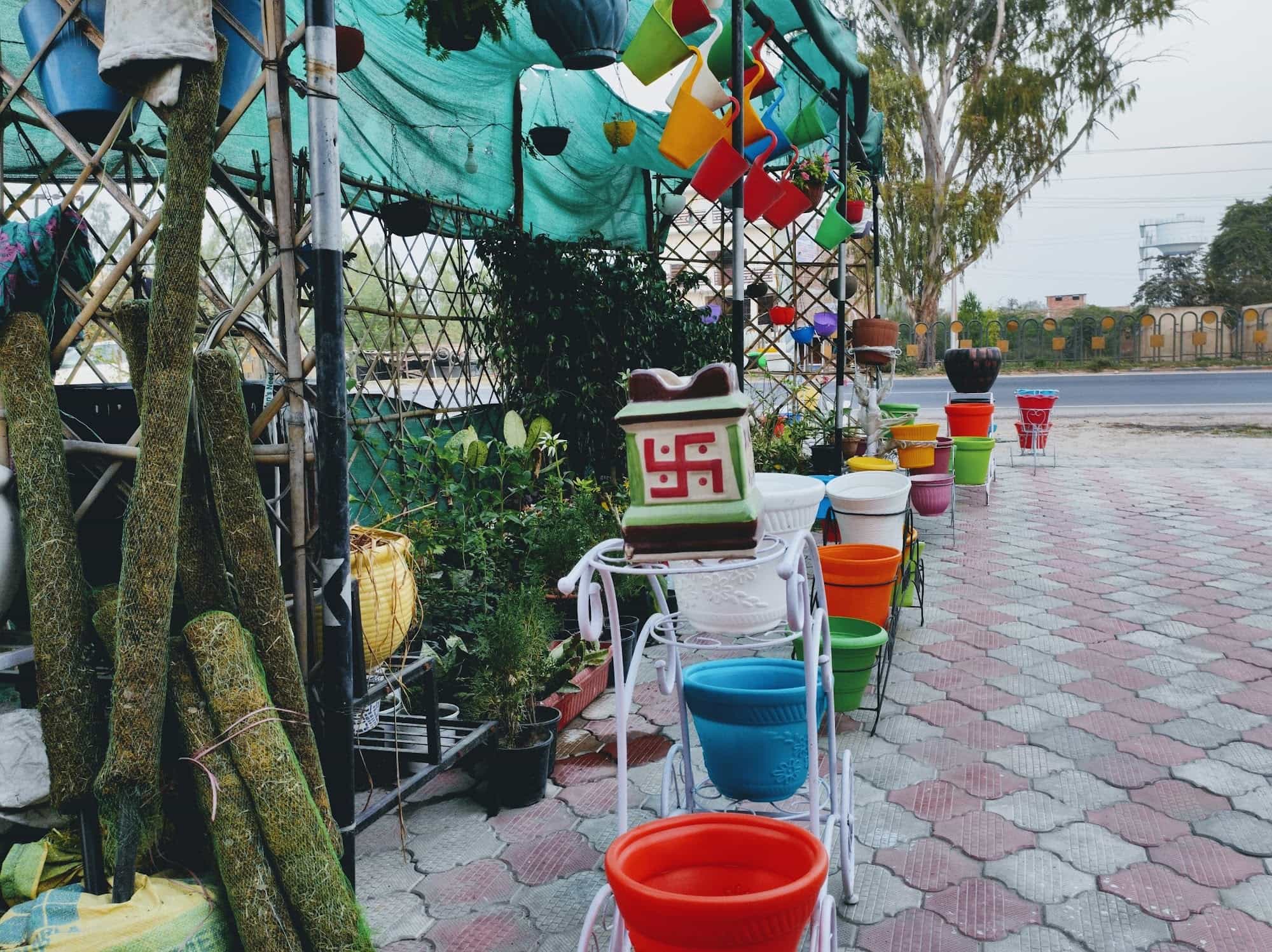 Top Tree Nurseries in Lal Bangla Best Nursery Tree Creepers Kanpur