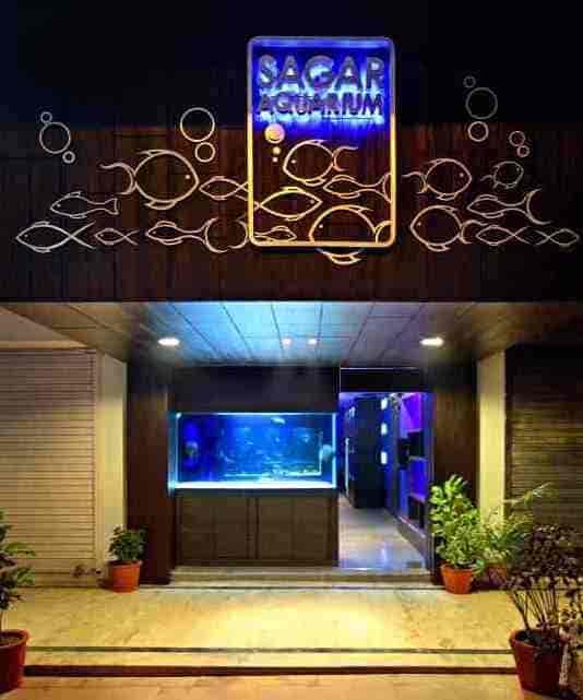 Top 30 Fish Food Retailers in Vadodara Best Fish Feed Retailers