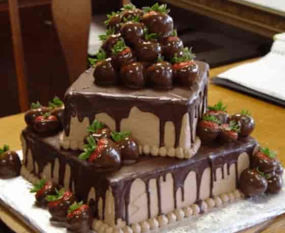 zaika restaurant old padra road vadodara restaurants justdial zaika restaurant old padra road vadodara home delivery restaurants 49gnt0g png
