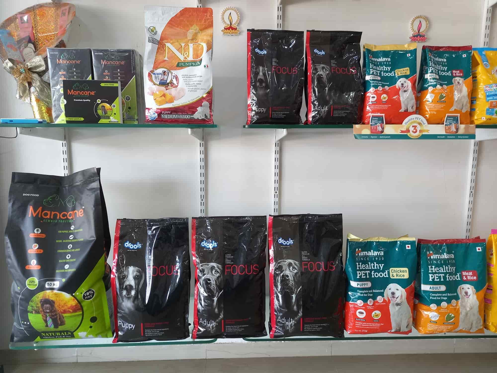 Pawfect in Gotri,Vadodara Best Pet Shops in Vadodara Justdial