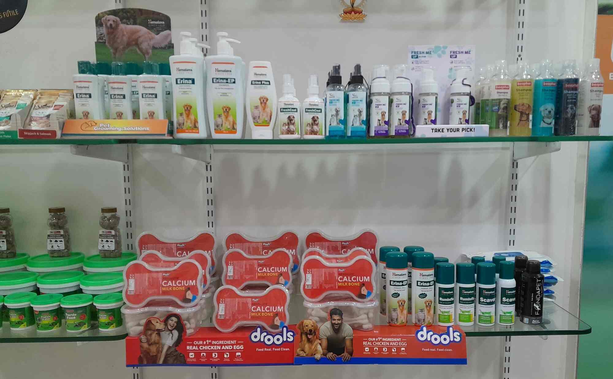 Pawfect in Gotri,Vadodara Best Pet Shops in Vadodara Justdial