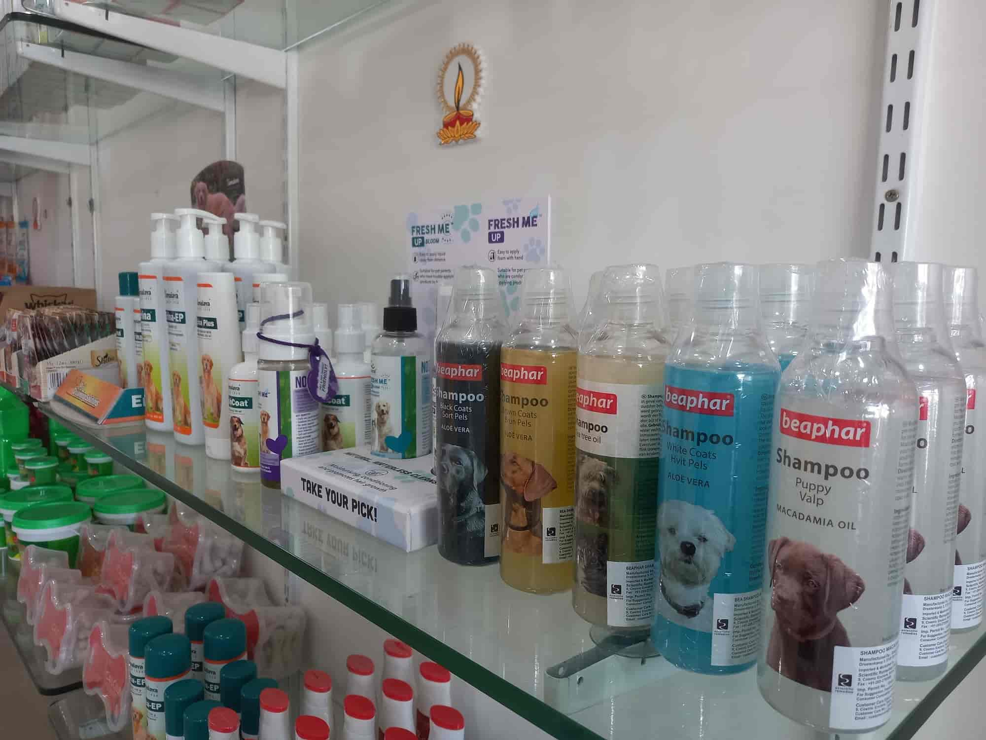 Pawfect in Gotri,Vadodara Best Pet Shops in Vadodara Justdial