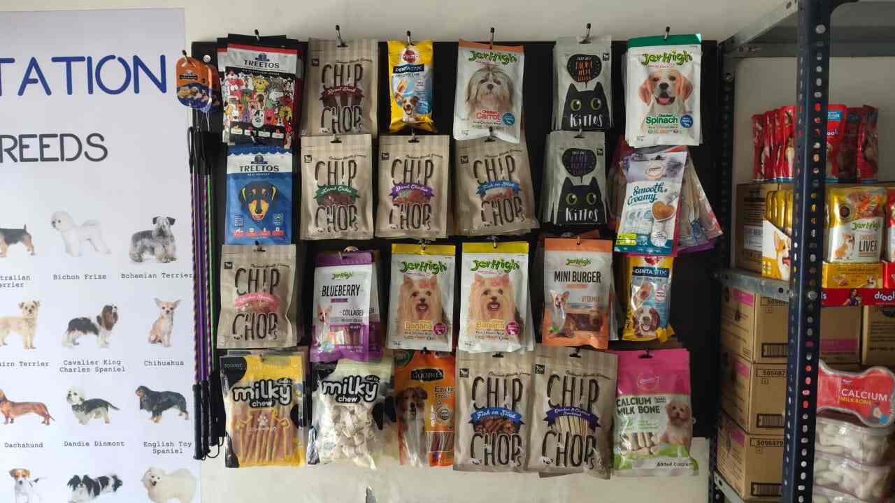 Dog Station in Subhanpura,Vadodara Best Pet Shops in Vadodara Justdial