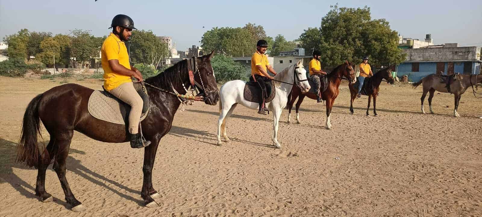 Dr Apj Horse Riding Club in Dena,Vadodara Best Horse Riding Clubs in