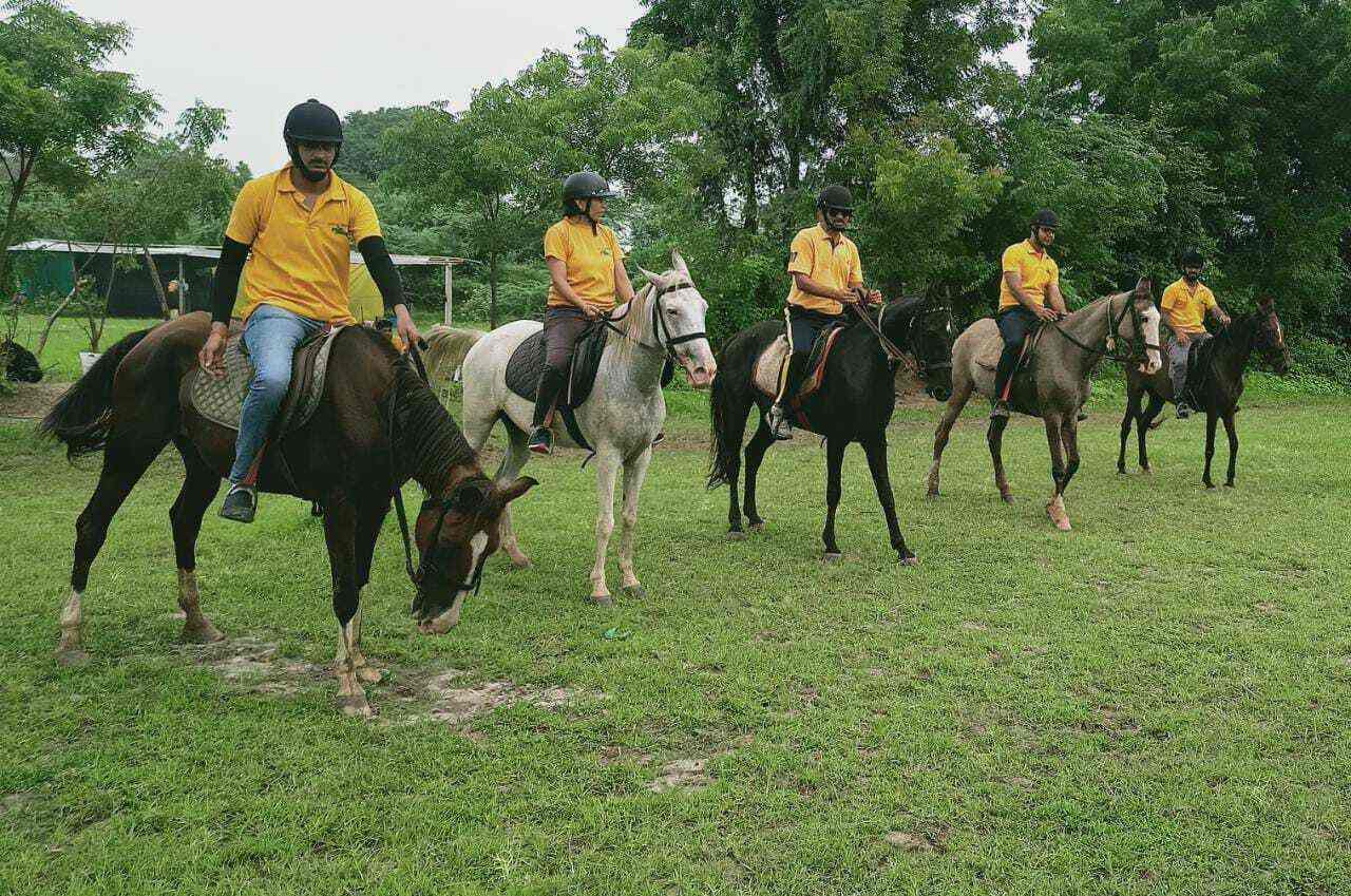 Dr Apj Horse Riding Club in Dena,Vadodara Best Horse Riding Clubs in