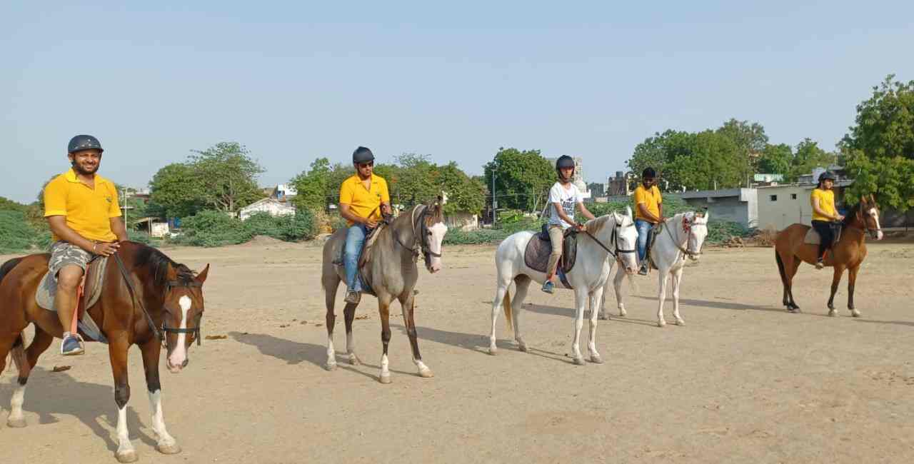 Dr Apj Horse Riding Club in Dena,Vadodara Best Horse Riding Clubs in
